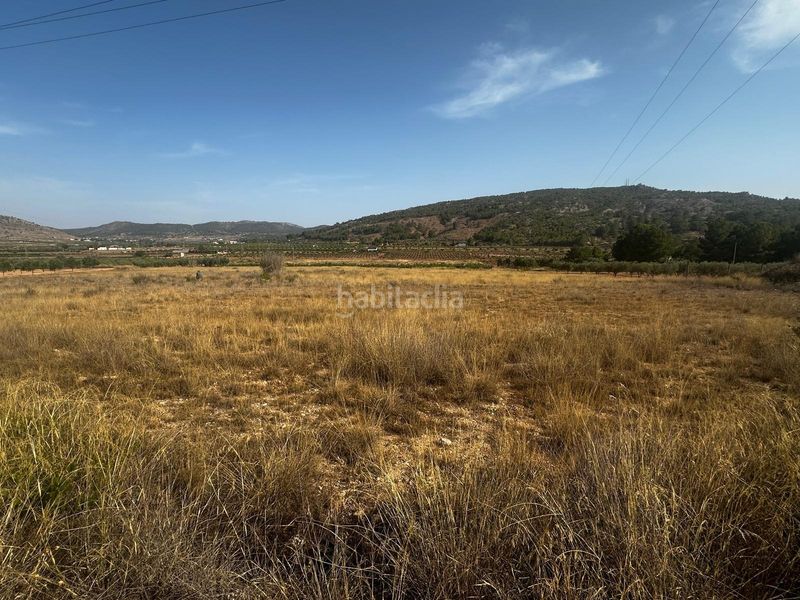 Foto 861068e0-647c-47ff-a5d4-73589649007b. Terreny residencial a Pinoso