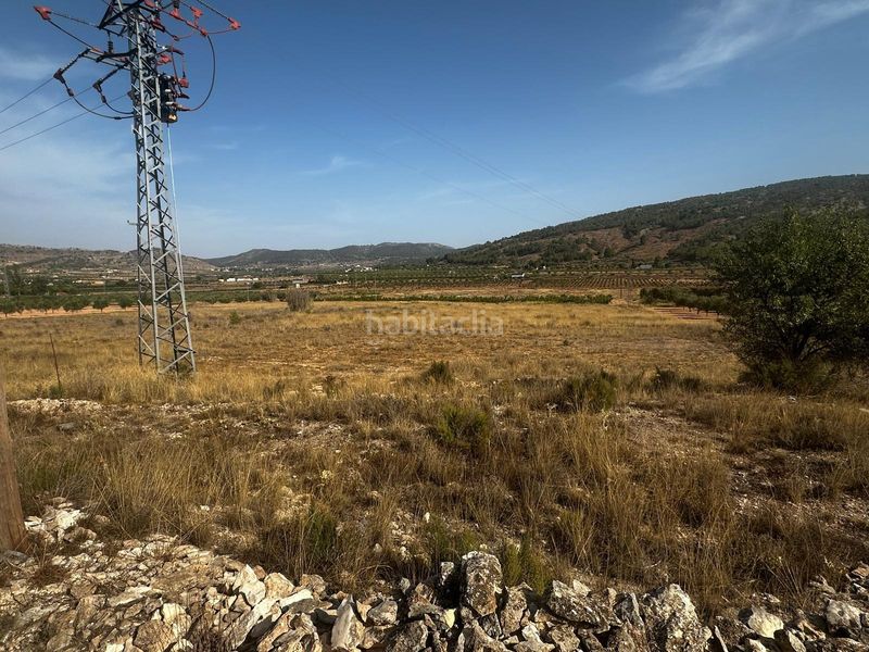 Foto 9c427ec8-f9df-4740-94fc-5ad62ef8d6c5. Terreny residencial a Pinoso