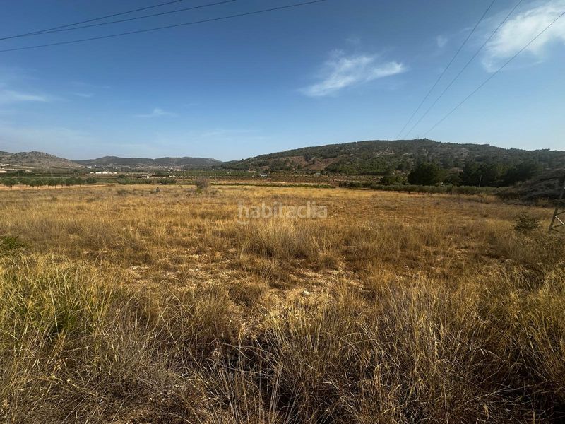 Foto b1c8f735-ac30-4eb4-91be-cc803c0765bd. Terreny residencial a Pinoso