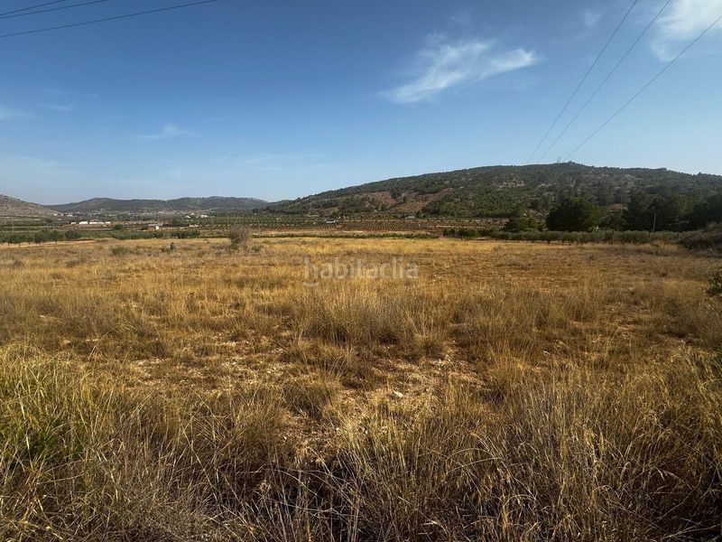 Foto c0d4d1a3-a7fd-44e3-82ff-d3f5a3f5f887. Terreny residencial a Pinoso