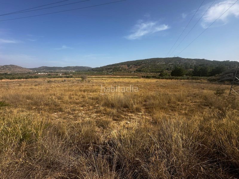 Foto d56575f6-ebe3-436f-96b2-5ca99a311d30. Terreny residencial a Pinoso