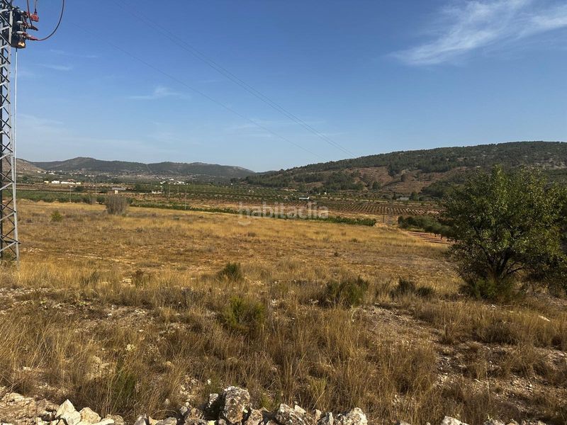 Foto fcc3bbc6-db8b-4d01-9dc9-40ed4da244a5. Terreny residencial a Pinoso