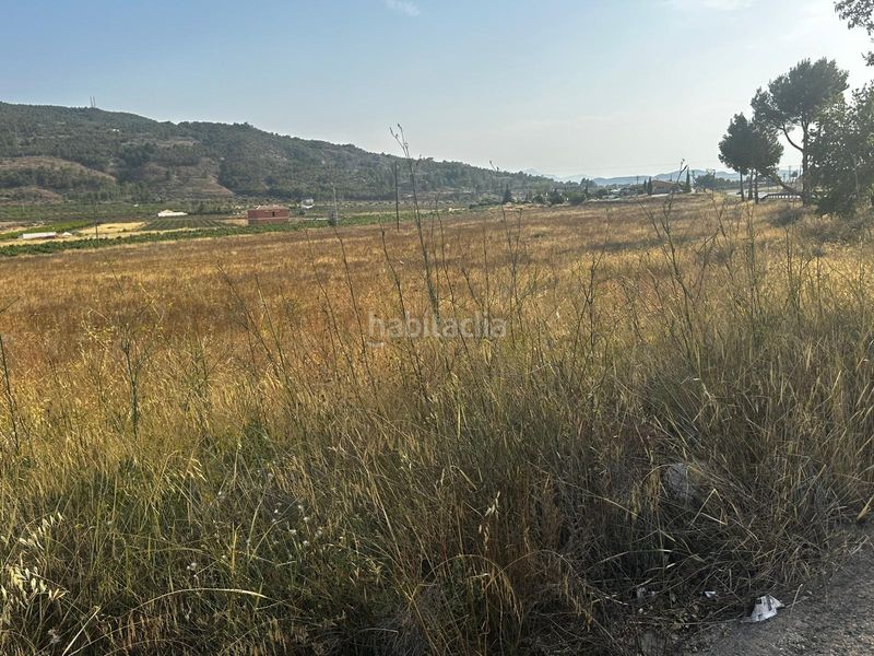 Foto 54b91fab-e9e2-43d4-853f-5748c275c477. Terreny residencial a Pinoso