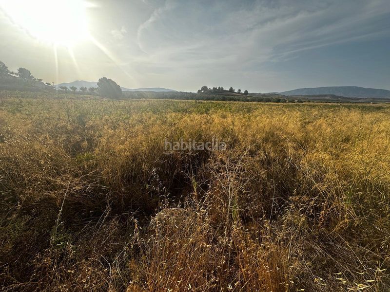 Foto 7a7155af-16d4-4f9f-bd97-9f3712d768f3. Terreny residencial a Pinoso