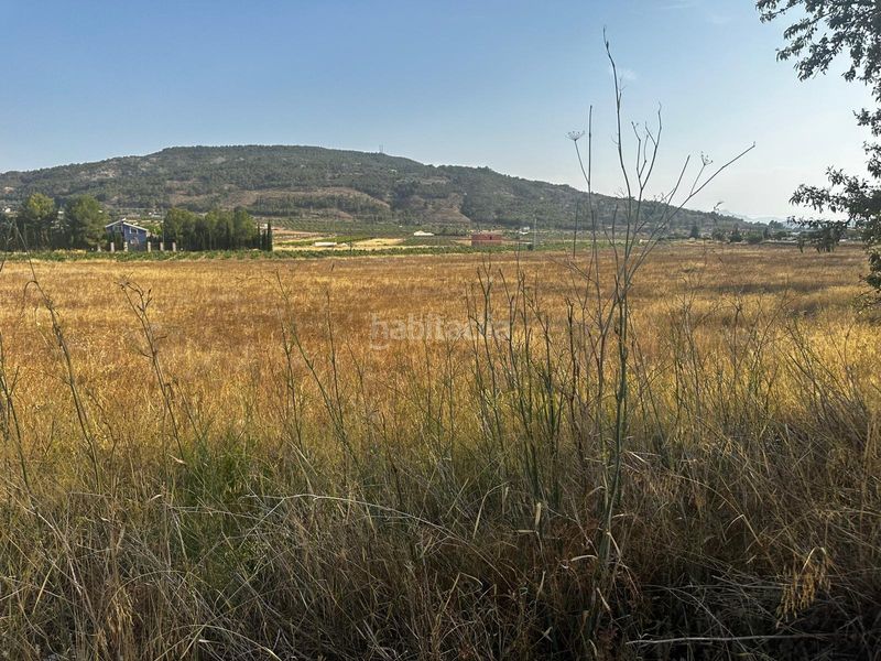 Foto dfd7c766-a310-4cd9-975c-b23a25c2d6cd. Terreny residencial a Pinoso