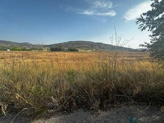 Wohngrundstück in Pinoso. Se vende terreno en pinoso