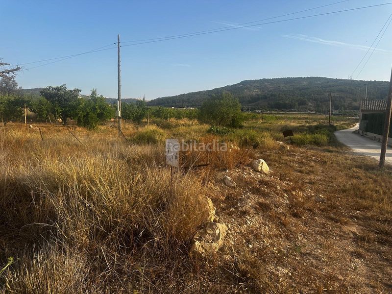 Foto 6a5ef412-eccd-47a9-b213-f3a24ce61c9a. Finca rústica a Monòver