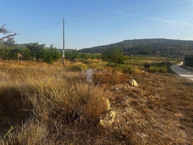 Foto 6a715f92-0fdb-471d-a295-32a2e6e892f5. Finca rústica a Monòver