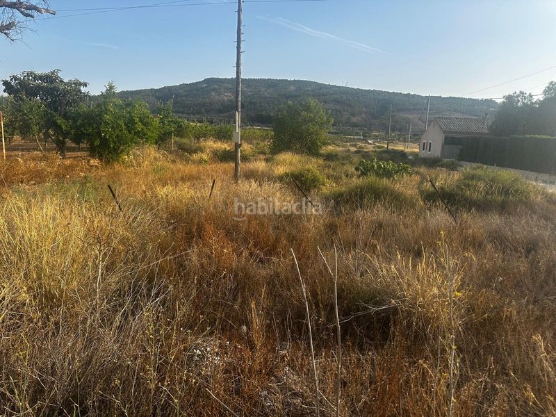 Foto bc6a7e27-5ba5-453c-8f78-723bc00897e2. Finca rústica a Monòver