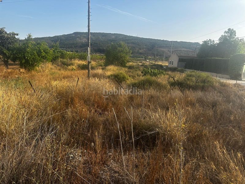 Foto e478c8b2-2667-4295-9c3e-41a15aea78b5. Finca rústica a Monòver