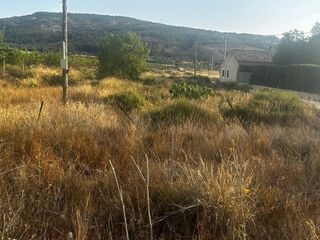 Finca rústica a Monòver