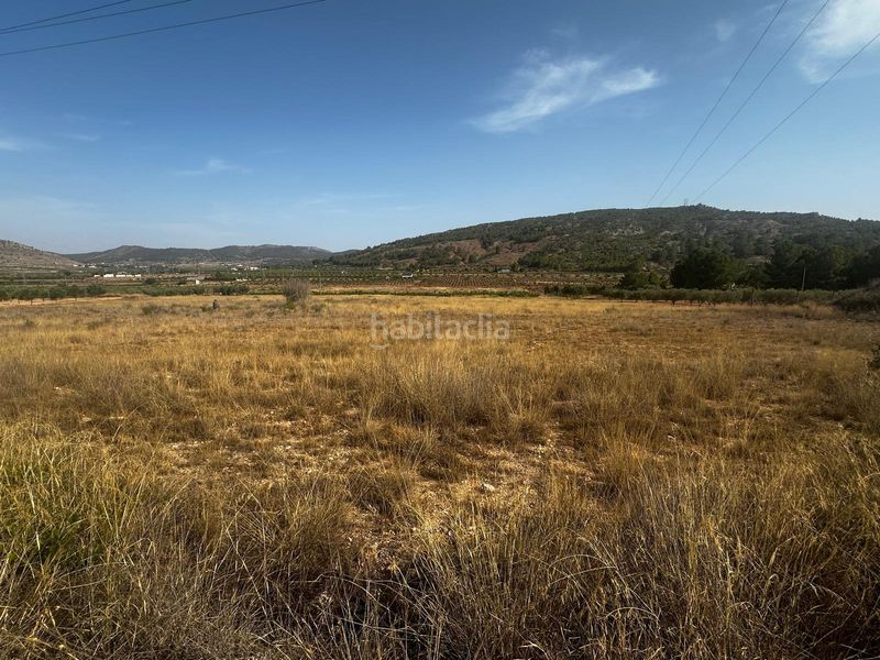 Foto 63fe6b89-913c-45d3-ab69-b36743eda0e7. Finca rústica a Monòver