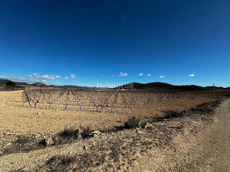 Foto 7a24a612-bc84-4044-bc0e-907060e2d8fa. Finca rústica a Monòver