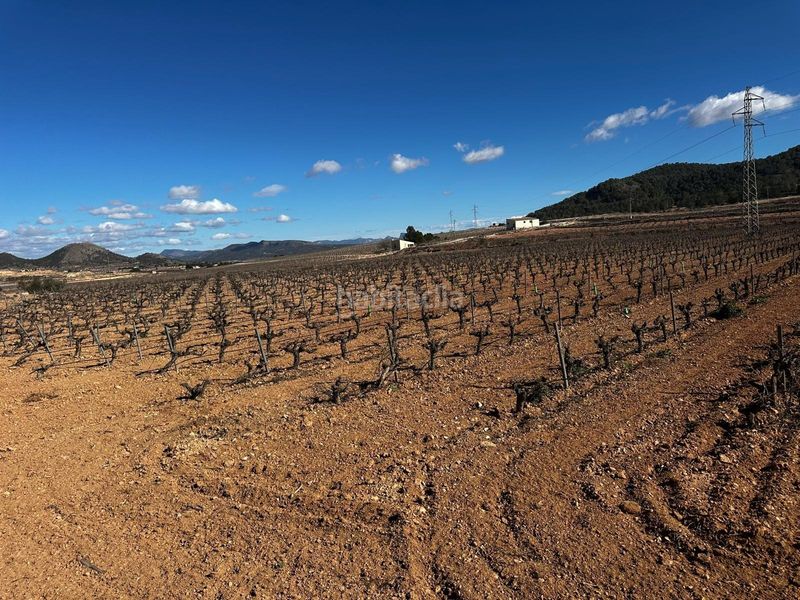 Foto 84ab5af9-43e1-4e9b-a89a-559928c6d3f8. Finca rústica a Monòver