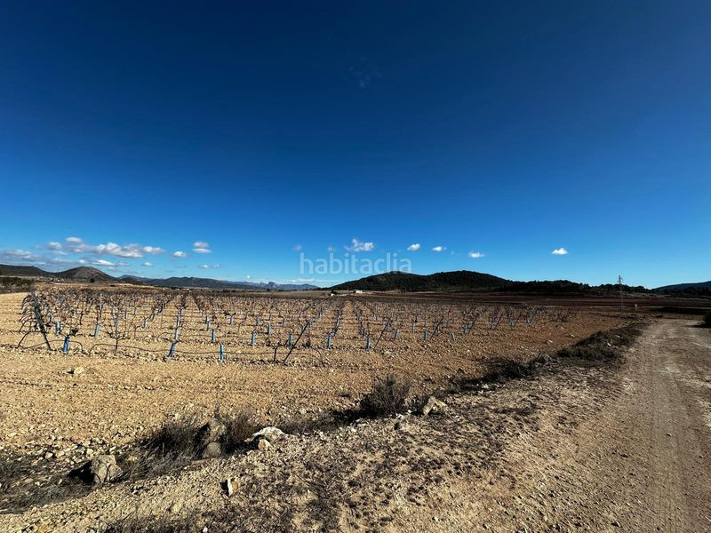 Foto c3bed728-f557-4095-8cd8-ba9175583f61. Finca rústica a Monòver