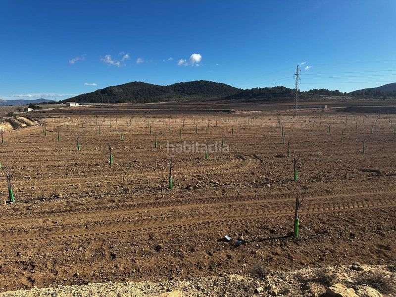 Foto db222ac2-f269-4d30-9804-82296eb7d76f. Finca rústica a Monòver