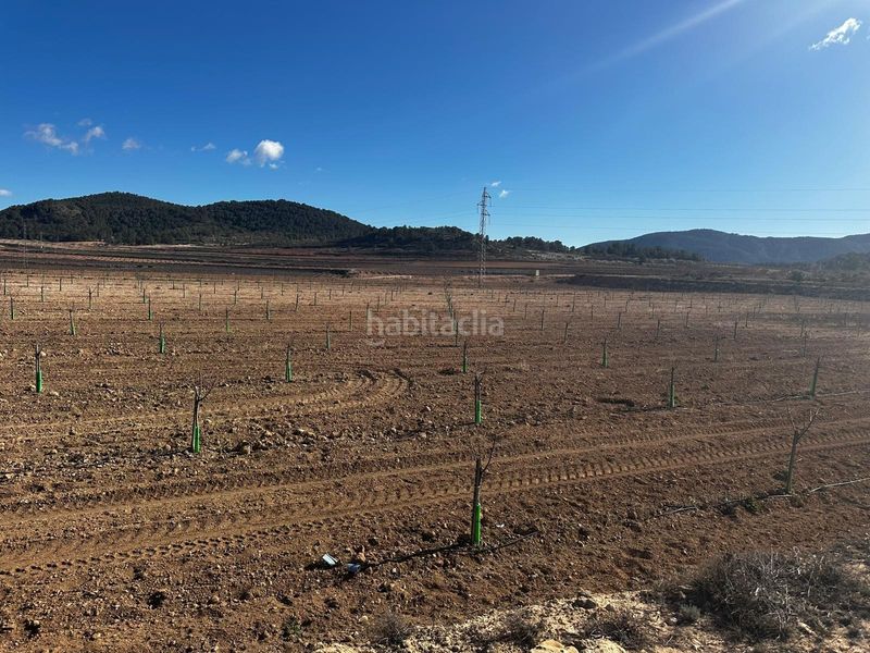 Foto dfd5bca0-f6e7-4a77-af57-8ff2b24f417a. Finca rústica a Monòver
