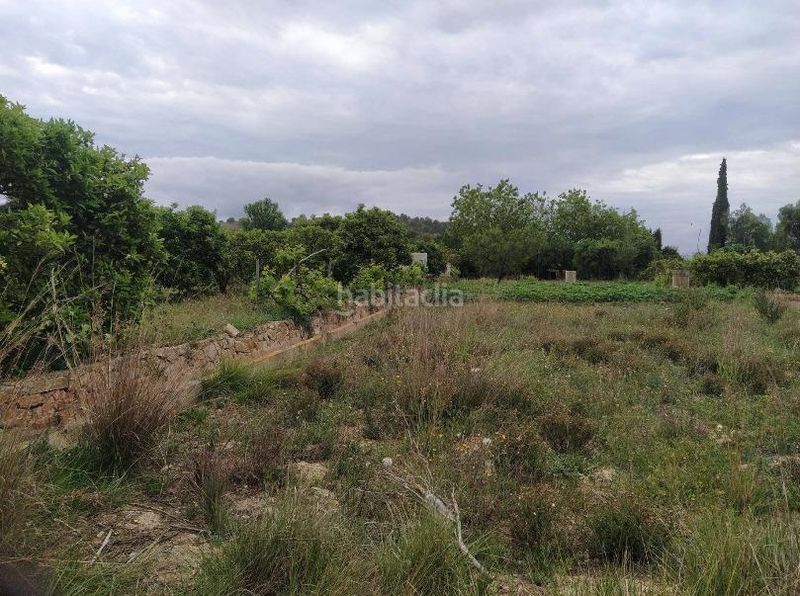 Foto a83d55e3-eca3-4127-8085-becfaa158ad9. Terreny residencial a Monòver