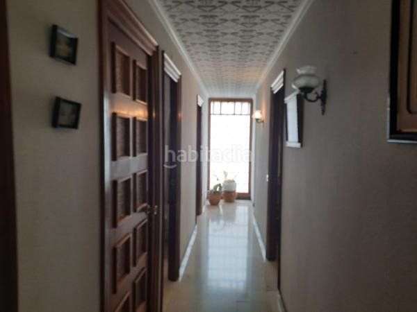 Foto c9d6de94-140d-47b7-b576-a5feb604d0bb. Pis a Novelda