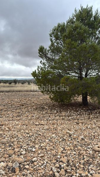 Foto 4e75db21-c44b-4915-b311-f1d8c3300fd8. Terreny residencial a Yecla