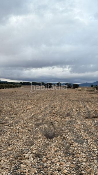 Foto 51f1f008-9d46-405a-8d83-5ba2403c9cb7. Terreny residencial a Yecla