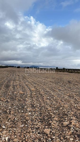 Foto d3bcdaa5-563d-467d-96f1-b8ca105cc5ad. Terreny residencial a Yecla