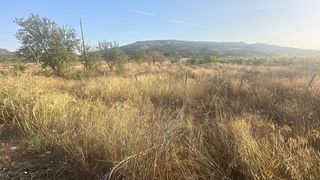 Rural plot in Monòver. Parcela de 5000 metros en la cenia