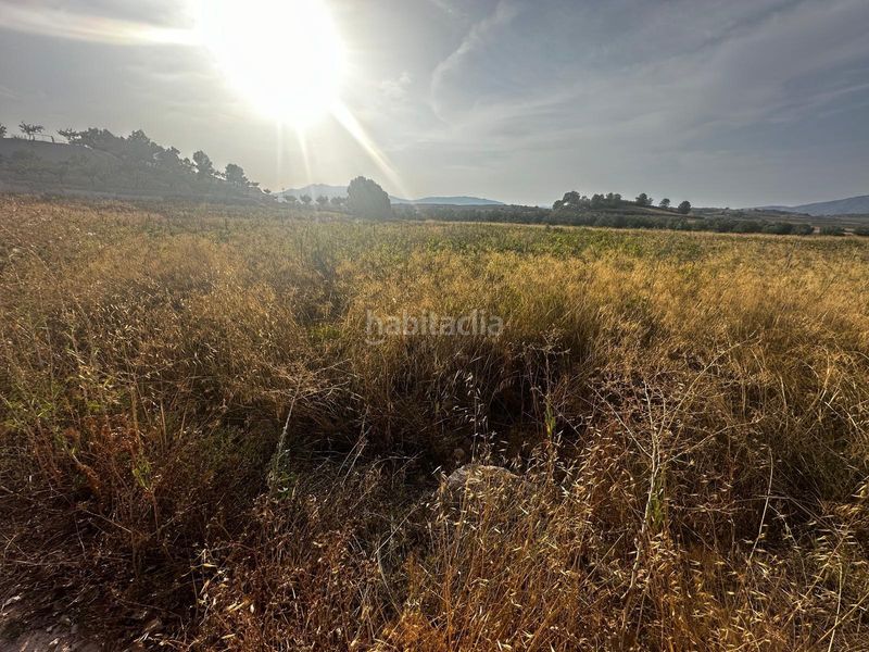 Foto c07ac66e-6fde-45e8-99b8-53de9ada05eb. Finca rústica a Monòver