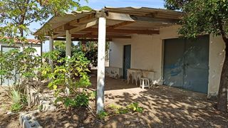 Masia a Novelda. Campo para reformar