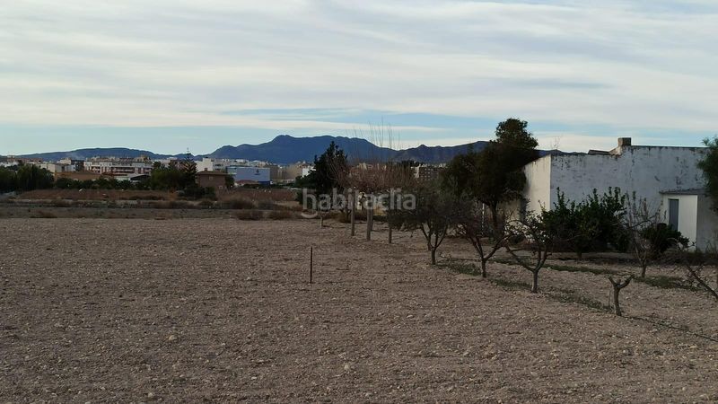 Foto 945e6802-c526-49fd-b692-7821b696dbe2. Masia a Novelda