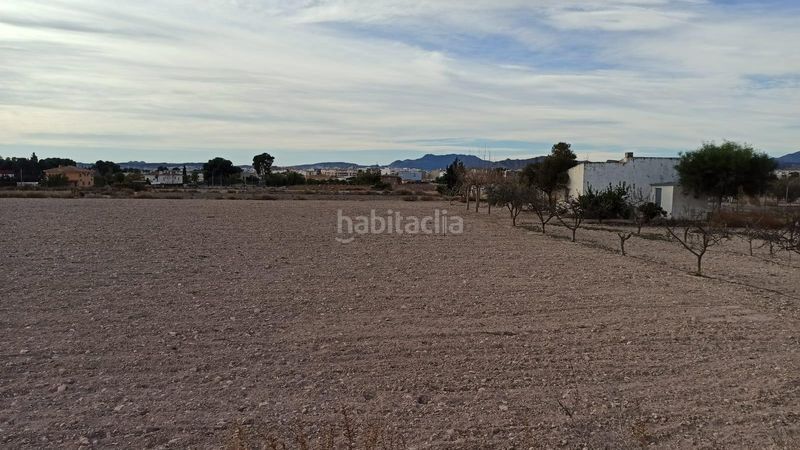 Foto adb7fa87-b77a-46fa-a3a0-5d3e26f70371. Masia a Novelda