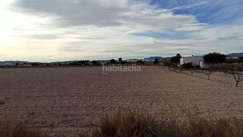 Foto b3f95a43-544a-4ae0-a2b3-83d8d82a291b. Masia a Novelda
