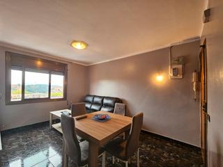 Flat in Can Puiggener