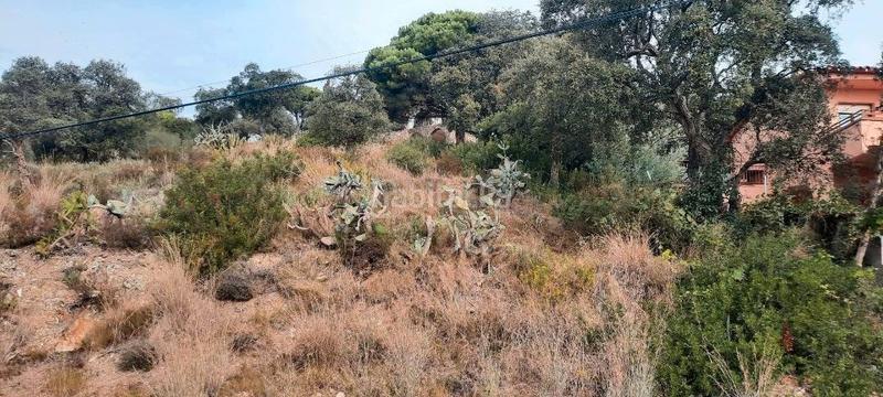 Foto c4d91d9a-ea95-49e0-a667-9822c2bb51e1. Residential plot in Urbanitzacions Platja d´Aro