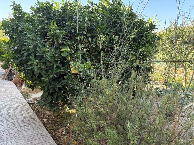 Foto 2978f46d-06b1-48b9-b20e-6e4fee6a8b1b. Bauernhof mit parking pool in Petrer