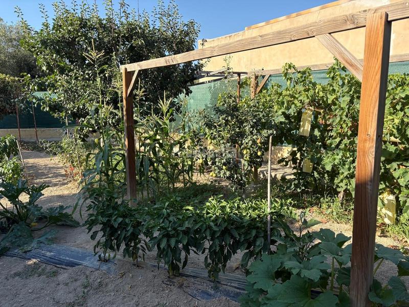 Foto 792ccf93-57aa-4932-adc1-347e78bd03e5. Bauernhof mit parking pool in Petrer