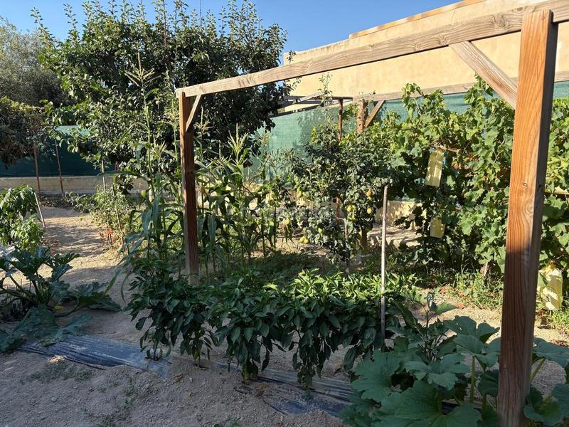 Foto e800e344-0267-4377-9263-1b329fbe4710. Bauernhof mit parking pool in Petrer