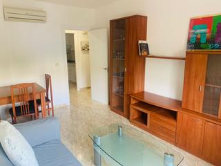 Alquiler Piso  Calle felipe herrero arias. Planta baja junto al bulevar del pla