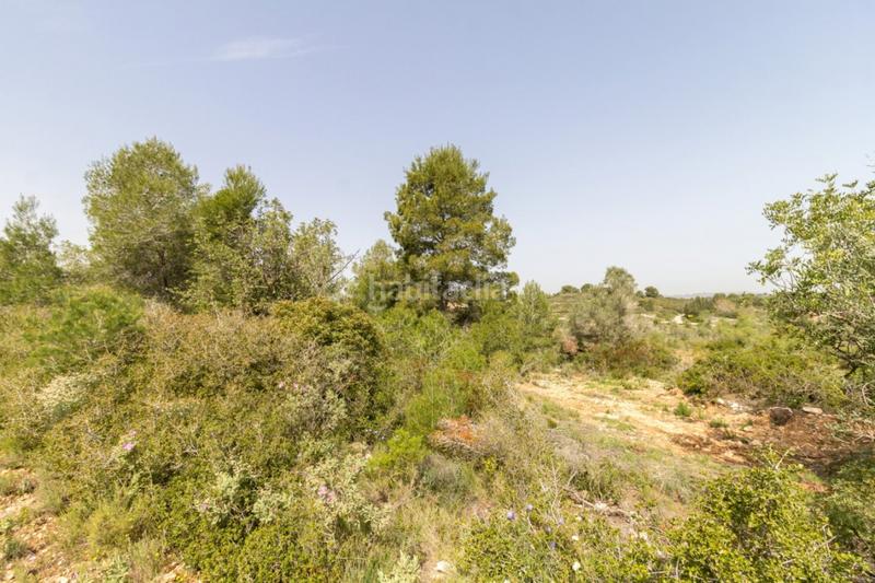 Foto 6e4e985c-cb75-488b-a059-9a226030740f. Terrain résidentiel dans Monserrat