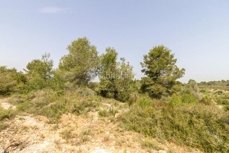 Foto 9eace962-f477-46ba-a88f-98dd67a045af. Terrain résidentiel dans Monserrat