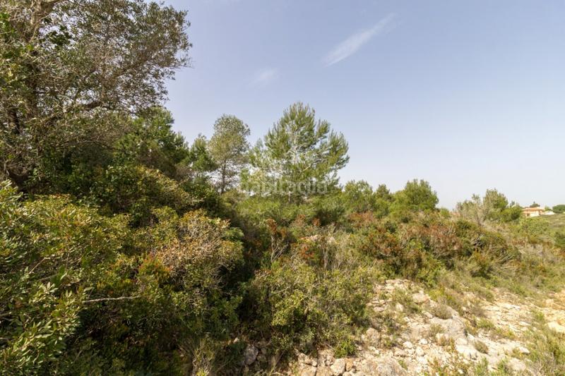 Foto bd717ed5-5050-4196-a190-db77a20c5b81. Terrain résidentiel dans Monserrat