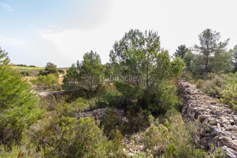 Foto c6c5642a-ed39-42d1-abd8-23cc94b3f5af. Terrain résidentiel dans Monserrat