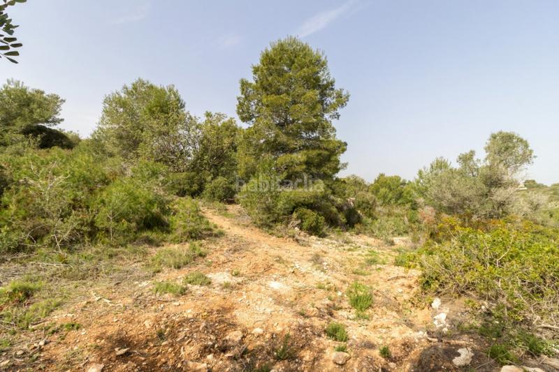 Foto e366b1c4-a648-453e-8524-9c2857b2d04a. Terrain résidentiel dans Monserrat