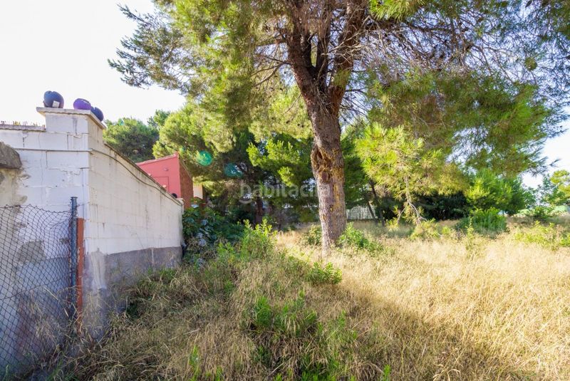 Foto 3e7398dd-c1a3-4394-8313-dae8d1fc4d9f. Terreny residencial a calle rossinyol 10 a Font de la Teula - Mas de Pavia Torrent