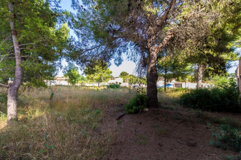 Foto c06f70c5-ed6d-4e8a-9cba-3e0738d2a502. Terreny residencial a calle rossinyol 10 a Font de la Teula - Mas de Pavia Torrent