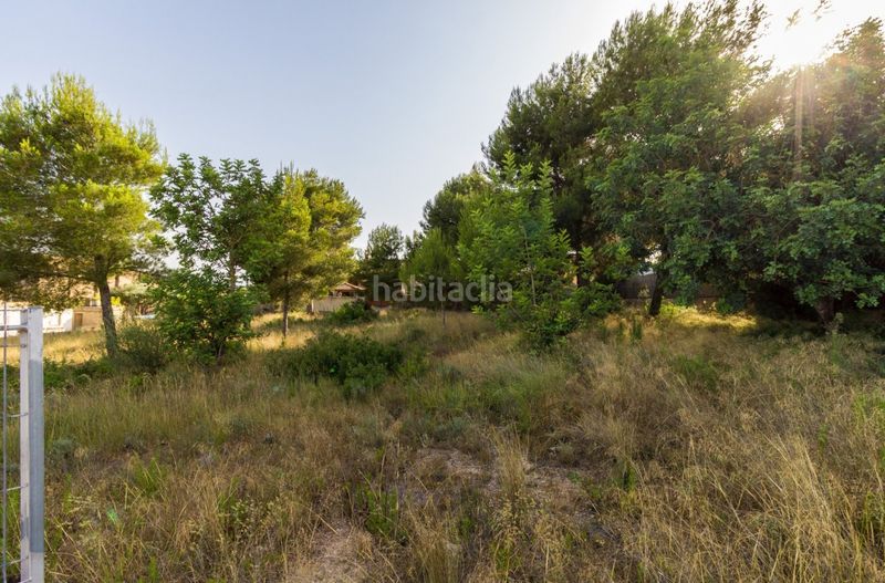 Foto e1adccb6-21b3-499f-824f-3ebe378617f1. Terreny residencial a calle rossinyol 10 a Font de la Teula - Mas de Pavia Torrent