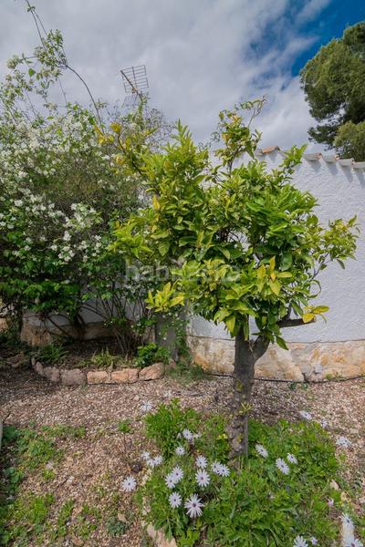 Foto 599711eb-283f-49c1-b53a-4a43881134f4. Chalet en Coloma Nucia (la)