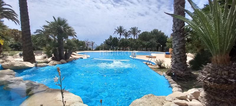 Foto 5d209106-e6d8-4e36-9a69-1a3f5d5f6dab. Appartamento con parcheggio piscina in Playa Levante Benidorm