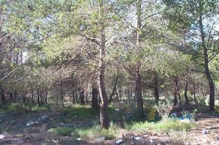 Residential Plot in La Nucia Pueblo