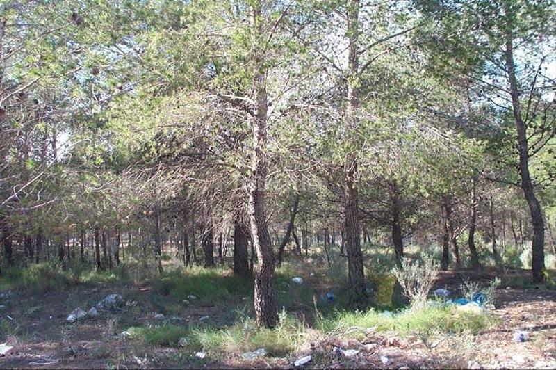 Foto 4254358e-f551-4cbf-85f9-ca7475bddba1. Wohngrundstück in La Nucia Pueblo Nucia (la)